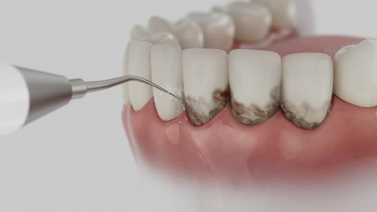 Reliable Dental contractor in Cottonwood Heights, UT by Dentist Open Now